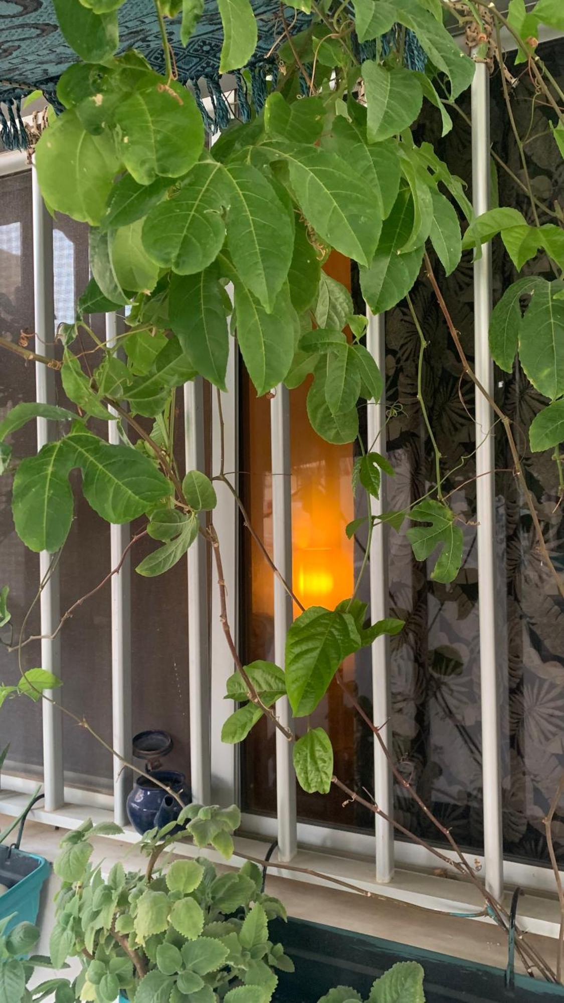 Dar Dyali Rooftop ⁿᵉᵃʳ ⁿᵍᵒʳ ᵇᵉᵃᶜʰ ᵃⁿᵈ ⁱˢˡᵃⁿᵈ Habitación en casa particular *