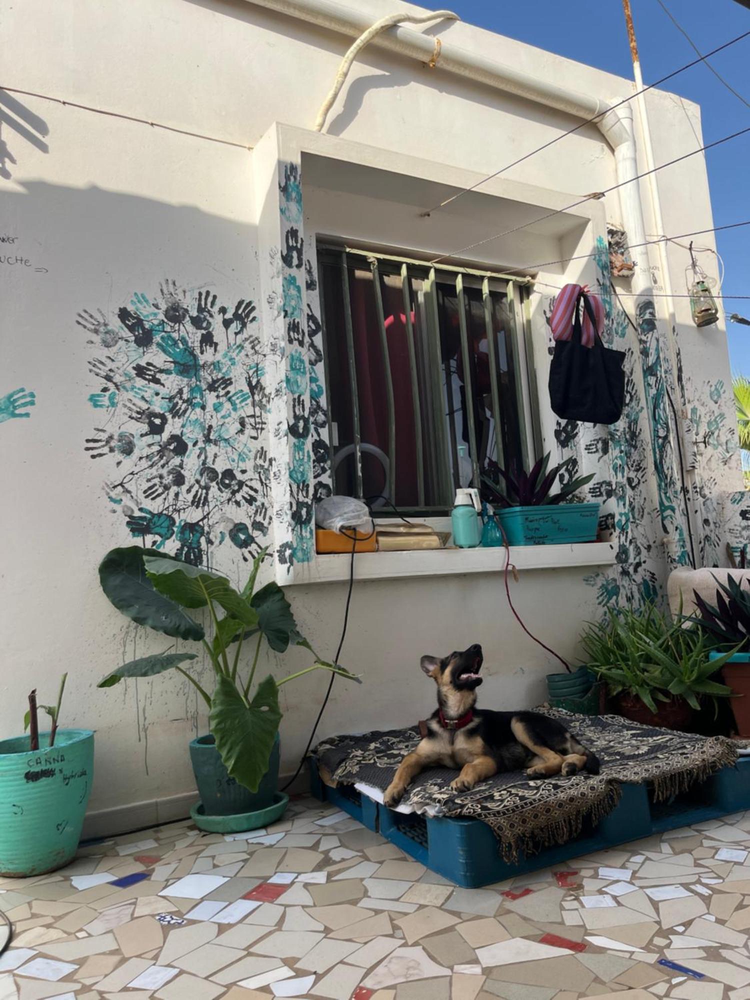 Dar Dyali Rooftop ⁿᵉᵃʳ ⁿᵍᵒʳ ᵇᵉᵃᶜʰ ᵃⁿᵈ ⁱˢˡᵃⁿᵈ *
